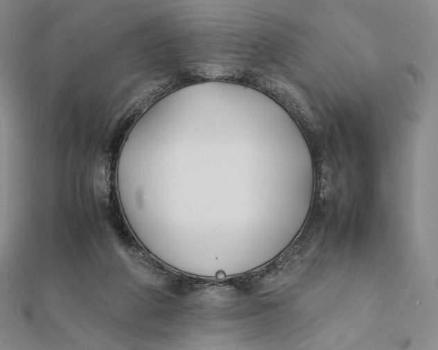 X0000112070210200908251050