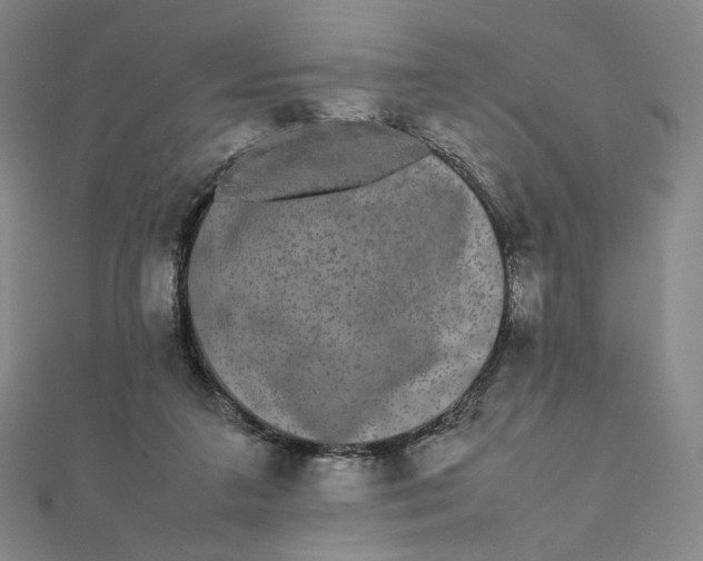 X0000112070211200908251050