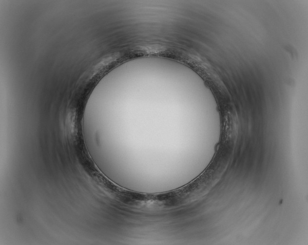 X0000112070212200908251050