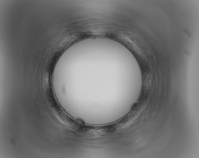 X0000112070213200908251050