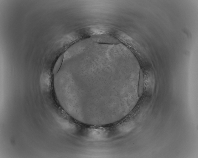 X0000112070215200908251050