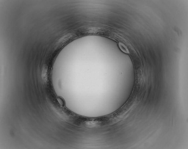 X0000112070216200908251050