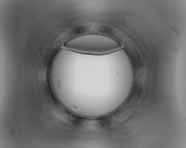 X0000112070217200908251050