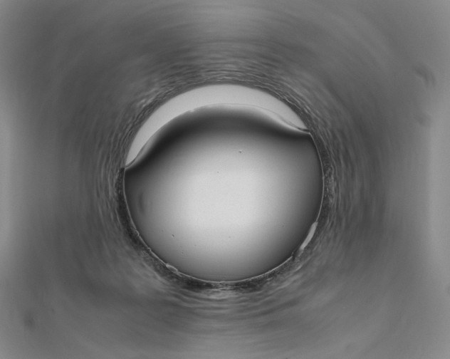 X0000112070219200908251050