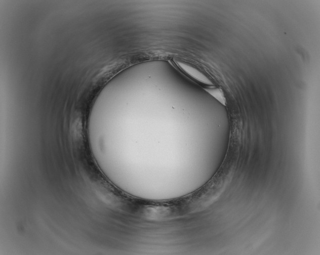 X0000112070220200908251050