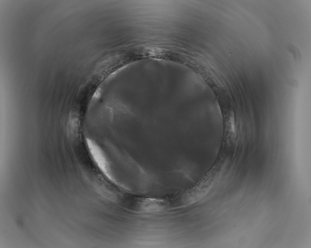 X0000112070222200908251049