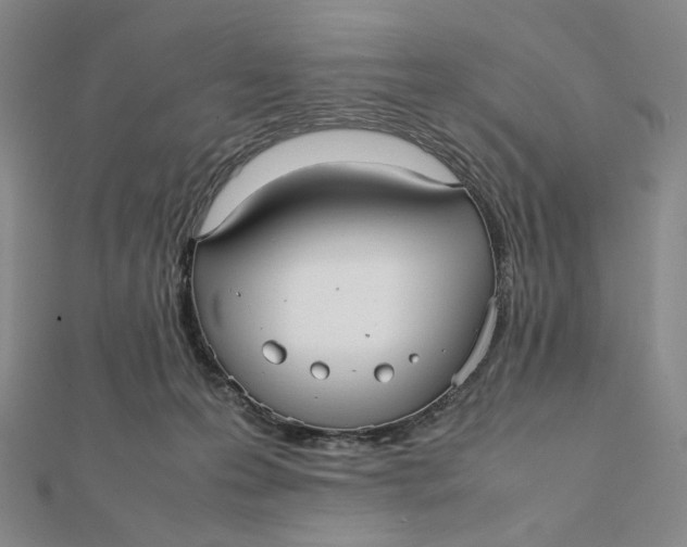 X0000112070223200908251049