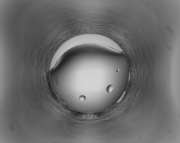 X0000112070225200908251049