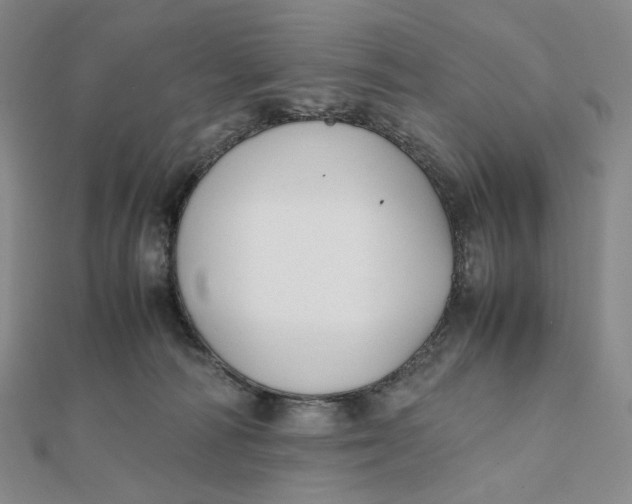 X0000112070226200908251049