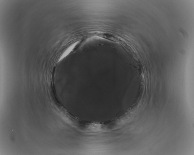 X0000112070227200908251049