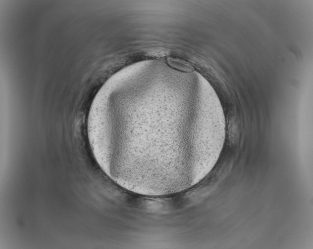 X0000112070229200908251049