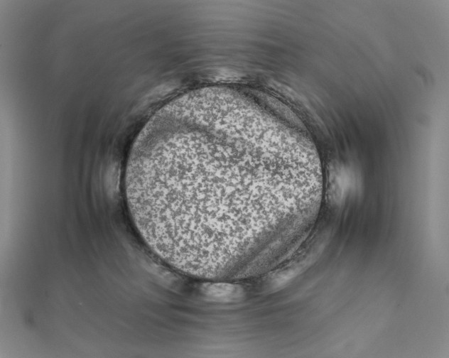 X0000112070230200908251049