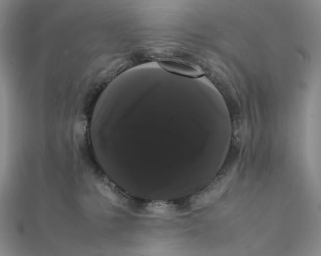 X0000112070231200908251049