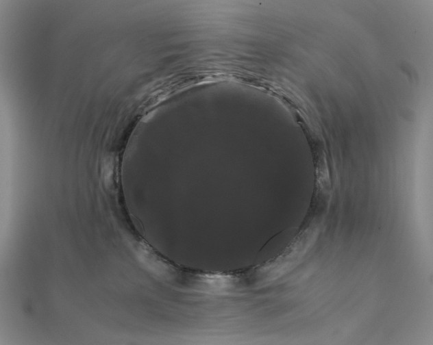 X0000112070233200908251049