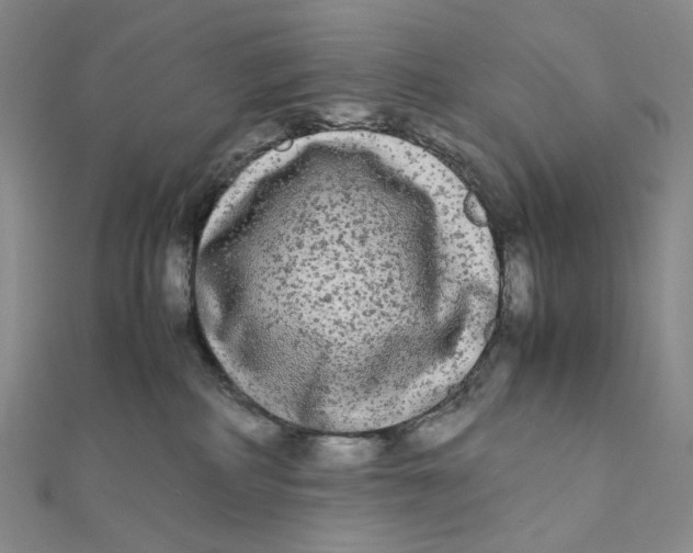 X0000112070234200908251049