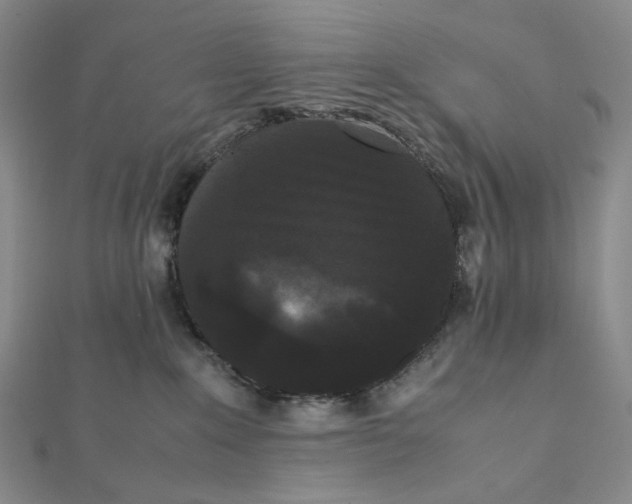 X0000112070235200908251049