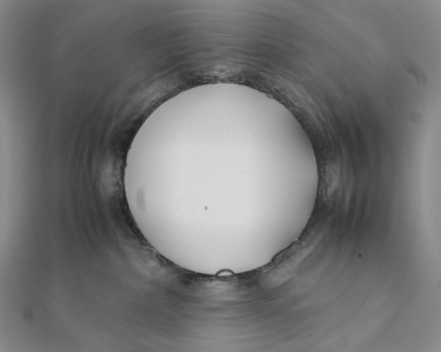 X0000112070236200908251049