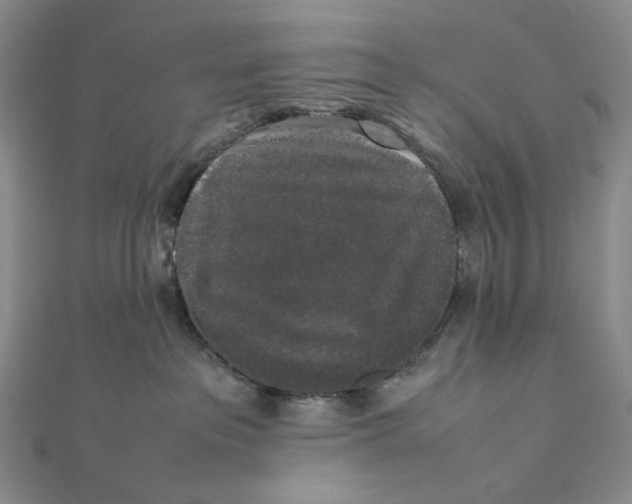 X0000112070237200908251049