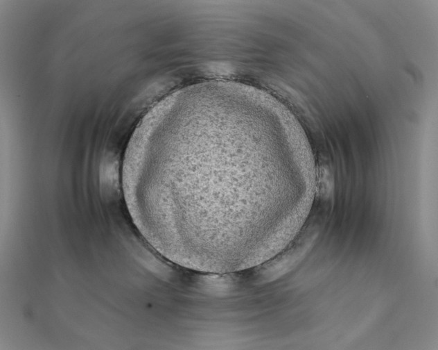 X0000112070238200908251049