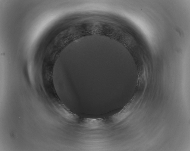 X0000112070239200908251049