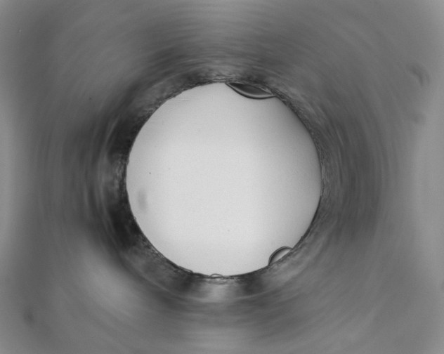 X0000112070240200908251049