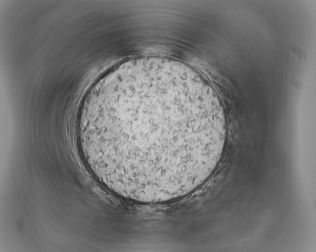 X0000112070241200908251049