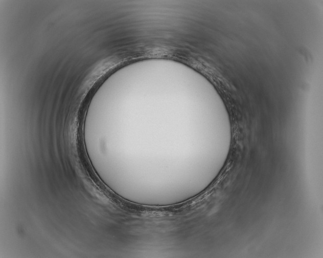 X0000112070242200908251049