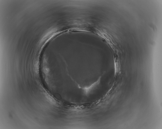 X0000112070243200908251049