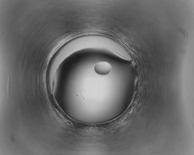 X0000112070244200908251049