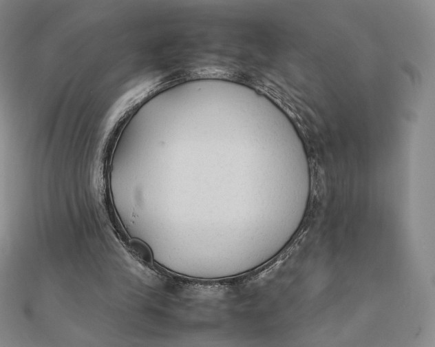 X0000112070245200908251049