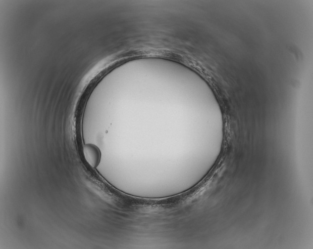 X0000112070246200908251049