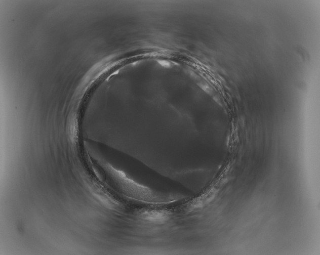 X0000112070247200908251049