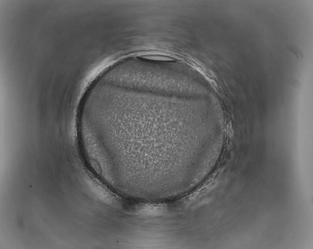 X0000112070248200908251049