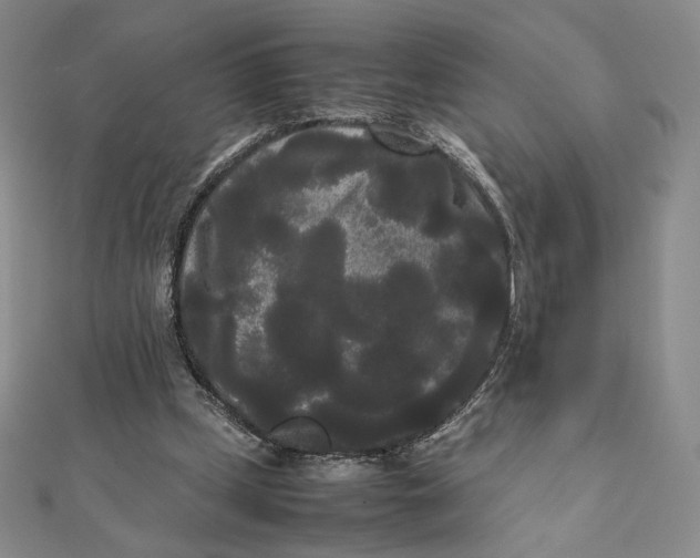X0000112070249200908251049