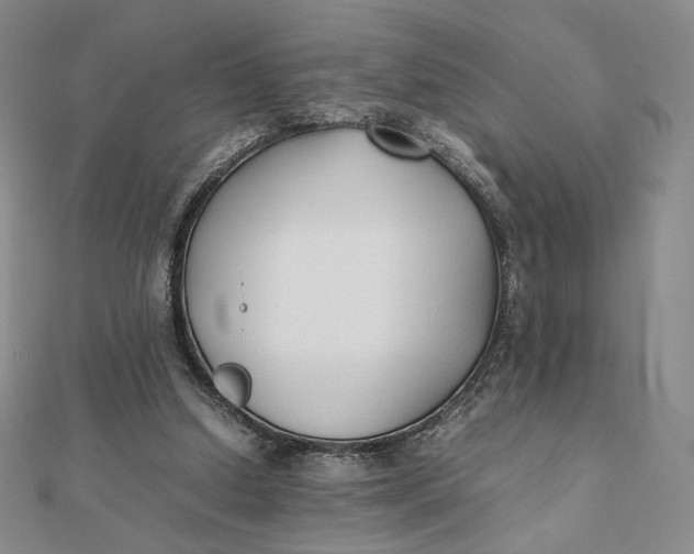 X0000112070250200908251049