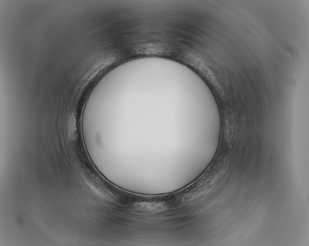 X0000112070251200908251049
