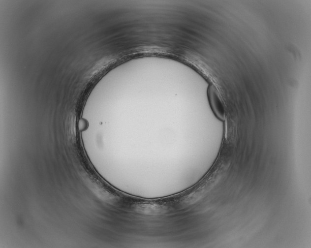 X0000112070253200908251049