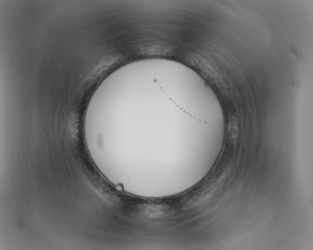 X0000112070255200908251049