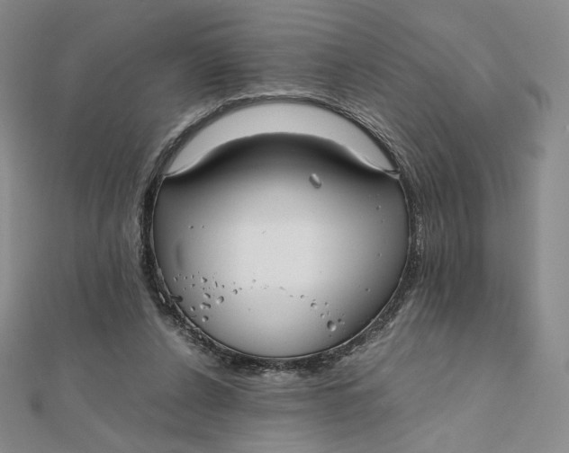 X0000112070256200908251049