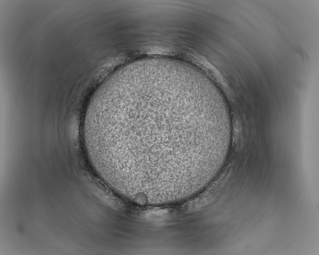 X0000112070257200908251049