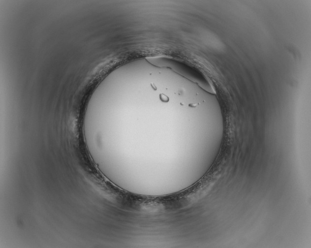 X0000112070258200908251049