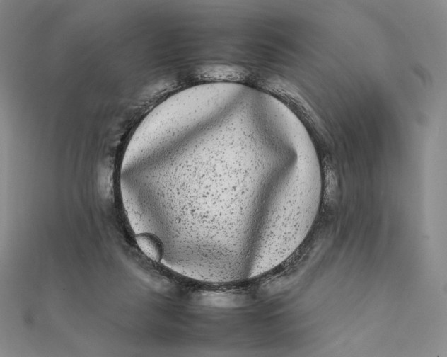 X0000112070259200908251049