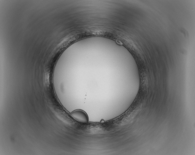X0000112070262200908251049