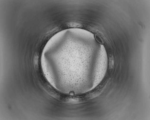 X0000112070263200908251049
