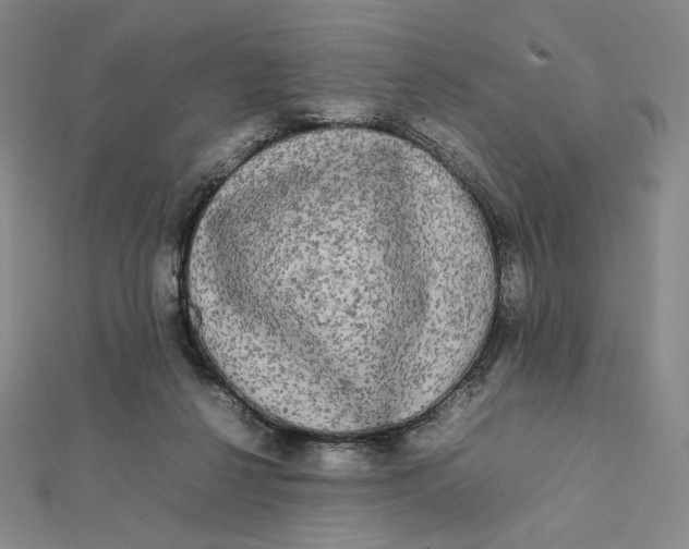 X0000112070264200908251049