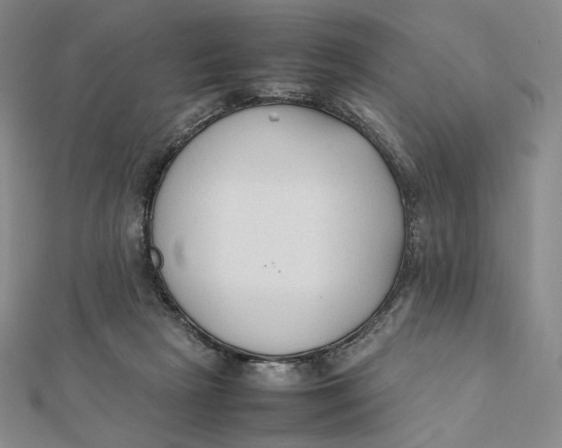 X0000112070265200908251049