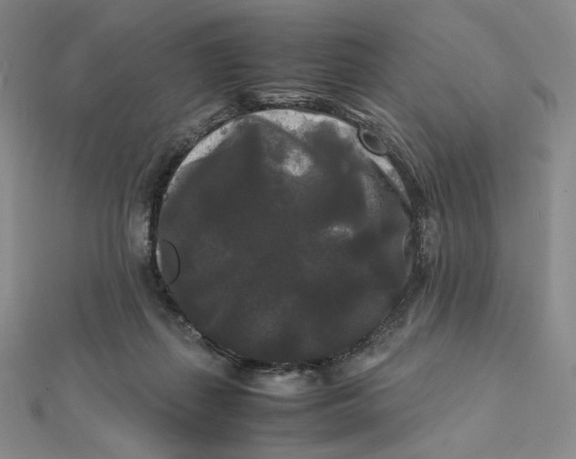 X0000112070267200908251049