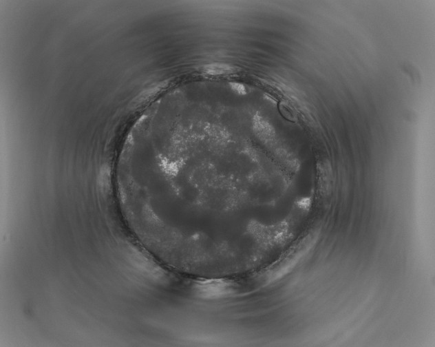 X0000112070269200908251049