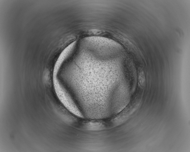 X0000112070270200908251049