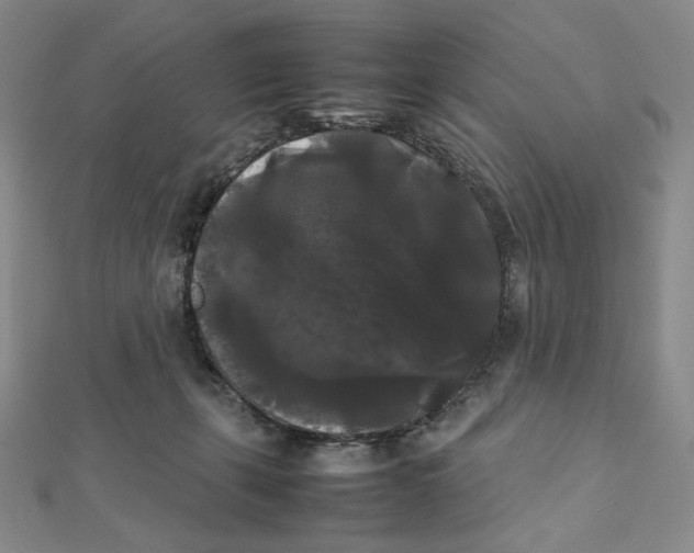 X0000112070271200908251049
